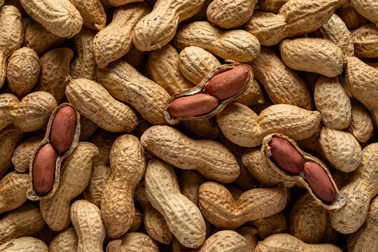 Shelled peanuts