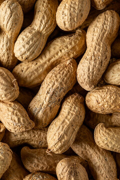 Shelled peanuts