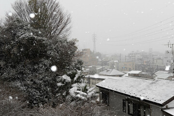 木々と家の雪景色