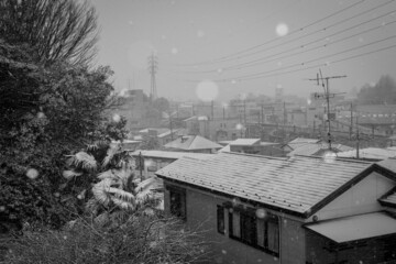 木々と家の雪景色