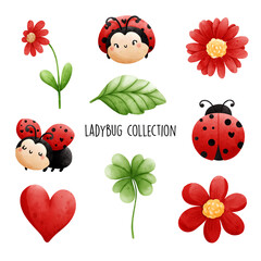 ladybug collection. Vector illustration - obrazy, fototapety, plakaty