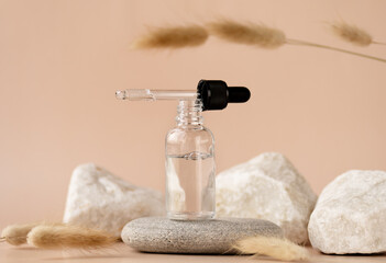 Transparent glass cosmetic dropper standing on stone with dry flowers on beige background. Beauty...