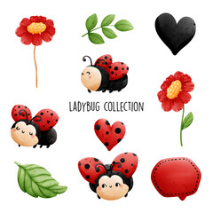 ladybug collection. Vector illustration