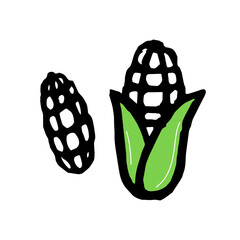 corn logo sketch doodle. corn icon isolate vector. agriculture field