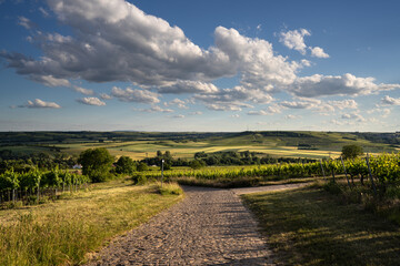 Gepflasterter Weg bei Elsheim in Rheinhessen, Juni 2022