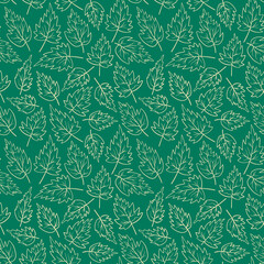 Seamless pattern with nettle leaves. Hand drawn plant on green background. Vector illustration.