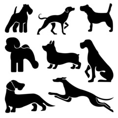 dogs set collection silhouette. Vector illustration of various dog breeds such as corgi doberman beagle. Isolated on white
