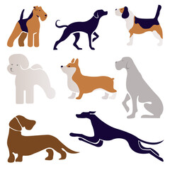 dogs set collection. Vector illustration of various dog breeds such as corgi doberman beagle. Isolated on white