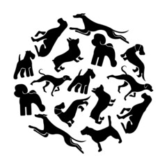 dogs set collection in the round. Vector illustration of various dog breeds such as corgi doberman beagle. Isolated on white