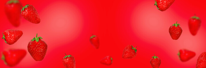 Ripe strawberries levitating on a red background. Banner.