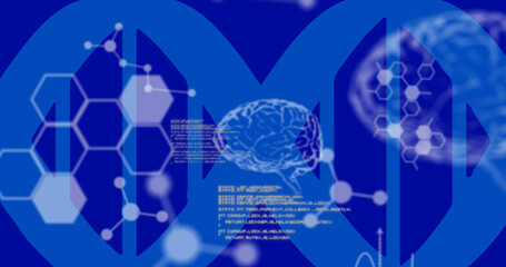 Image of data processing and human brain model on blue background