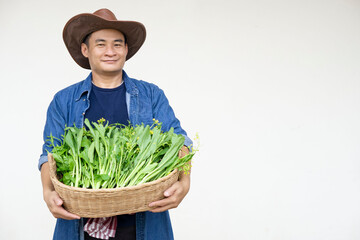 Portrait of handsome Asian  man gardener wears hat, blue shirt, holds basket of vegetables. Concept : farmer grows organic vegetables. Agriculture products. Copy space for adding text or advertisement