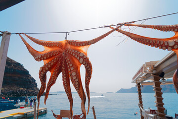 sun dried octopus