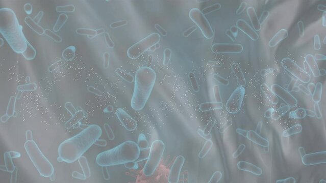 Animation of microbes and virus cells over grey background