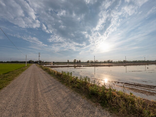 Fototapeta premium Sunset over the rice fields