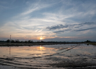 Sunset over the rice fields
