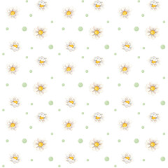 Watercolor seamless pattern. White daisy, chamomile White daisy, chamomile, green dots texture on white background. Hand painted illustration for wedding design, print, fabric, baby textile