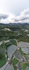 General Landscape View of the Brinchang District Within the Cameron Highlands Area of Malaysia