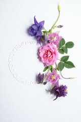 floral layout from pink and violet flowers of aquilegia on a white background.