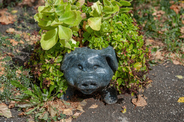 figurine of a stone black pig in landscape design. A black pig in a clearing with flowers