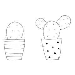 simple vector illustration cactus in pot