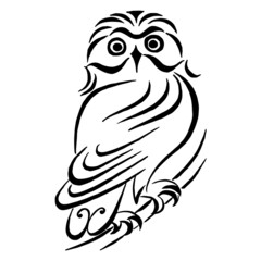 Owl sitting on branch. Black and white linear drawing. Vector image. Calligraphic drawing.
