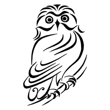 Owl sitting on branch. Black and white linear drawing. Vector image. Calligraphic drawing.