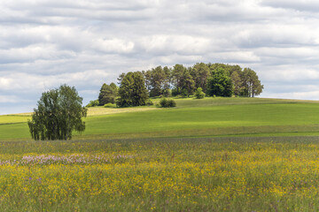 Nature reserve of Rotenbach meadows in High Black Forest.
