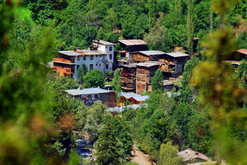 Fototapeta na wymiar Mountain ,Nature and House Barhal,Artvin, Turkey