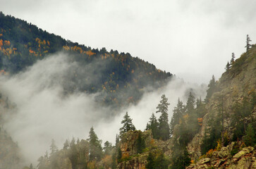Fototapeta premium fog in the mountains