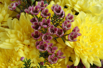 Bouquet of large yellow chrysanthemums with small burgundy flowers. Closeup.