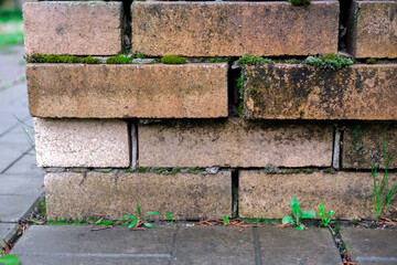 An old yellow brick wall with moss and weeds growing in between, and paving slabs all around.