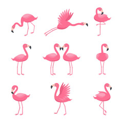 Set of pink flamingos with different postures