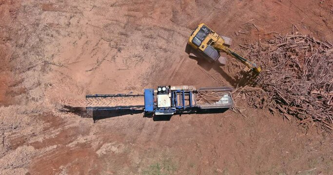 Wood chipper machine with mulch an work conveyor the roots shredding in construction site area