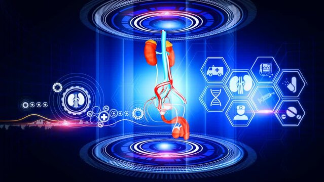 Male Urinary SystemVirtual Reality
A virtual reality 3d graphics showing rotating Male Urinary System model with medical icons on surrounding