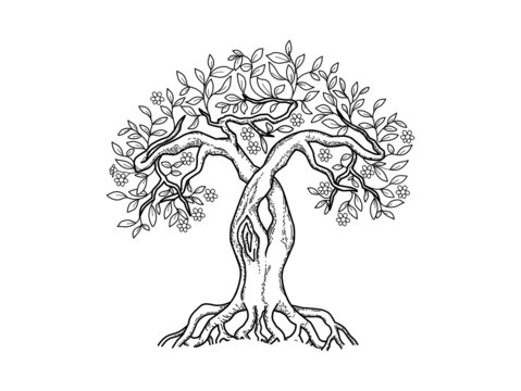 tree logo hand drawing in line art style. printable vector