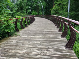 wooden bridge in the forest