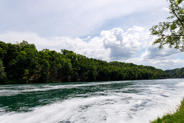 Rhine River with foam produced by the waterfall