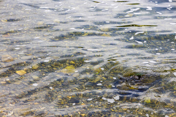 River stream gradient