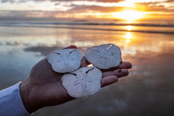 Coastal South African Sunrise. (Diaz Beach)