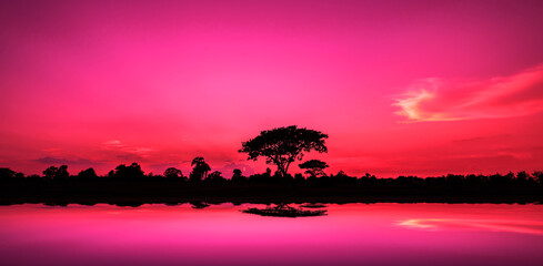 Safari. Erstaunlicher Sonnenuntergang und Sonnenaufgang, Baumsilhouetten vor Sonnenuntergang, dunkle Bäume auf offenem Feld, dramatische Sonnenaufgangs-Safari-Themen.