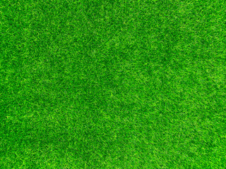 Fototapeta na wymiar Green grass texture background grass garden concept used for making green background football pitch, Grass Golf, green lawn pattern textured background..