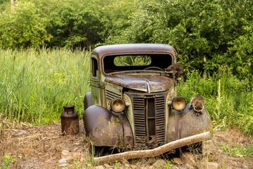 old rusty truck with racoons - obrazy, fototapety, plakaty