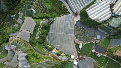 Fototapeta premium General Landscape View of the Brinchang District Within the Cameron Highlands Area of Malaysia