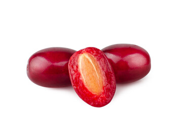 Dogwood isolated on a white background, macro