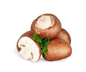 Mushrooms isolated on a white background