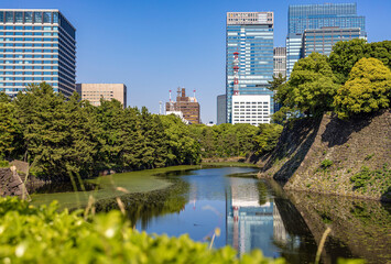 Tokyo skyline with moat and ramparts - obrazy, fototapety, plakaty