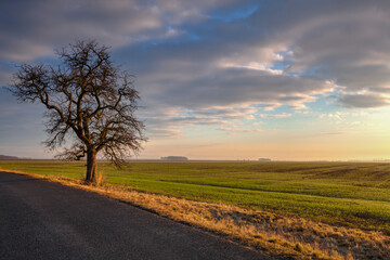 Fototapeta na wymiar Rural road among fields at amazing sunrise i