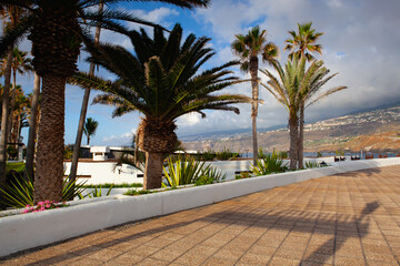 Evening on the promenade. Puerto de la Cruz, Tenerife, Spain