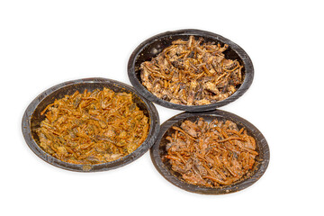 Aperitif made from fried insects approved for consumption in Europe. French mealworms and grasshoppers in spices and salt. Protein food of the future.